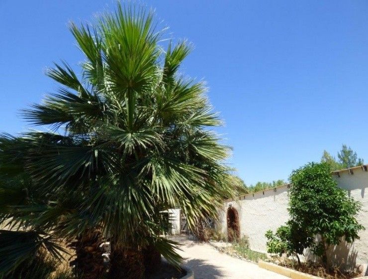 Villa in Larnaca, Cyprus, 193 m² - picture 1