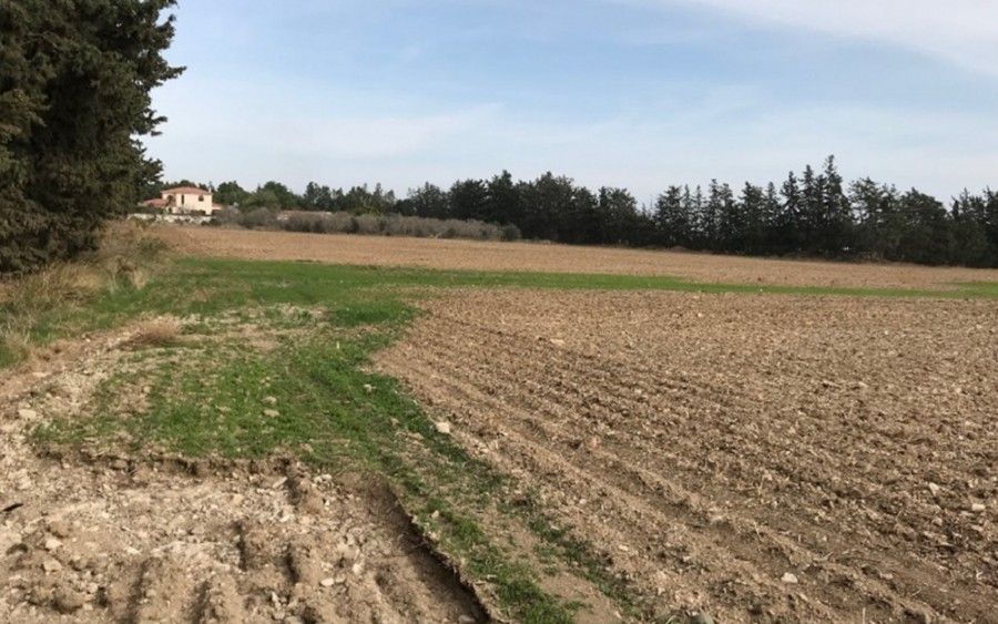 Terreno en Lárnaca, Chipre, 49 092 m² - imagen 1