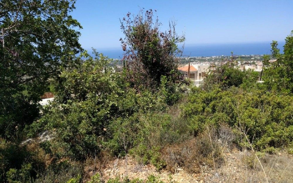 Grundstück in Paphos, Zypern, 6 247 m² - Foto 1