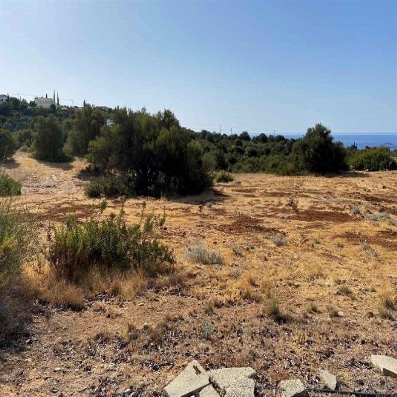Villa in Paphos, Cyprus, 1 247 m² - picture 1