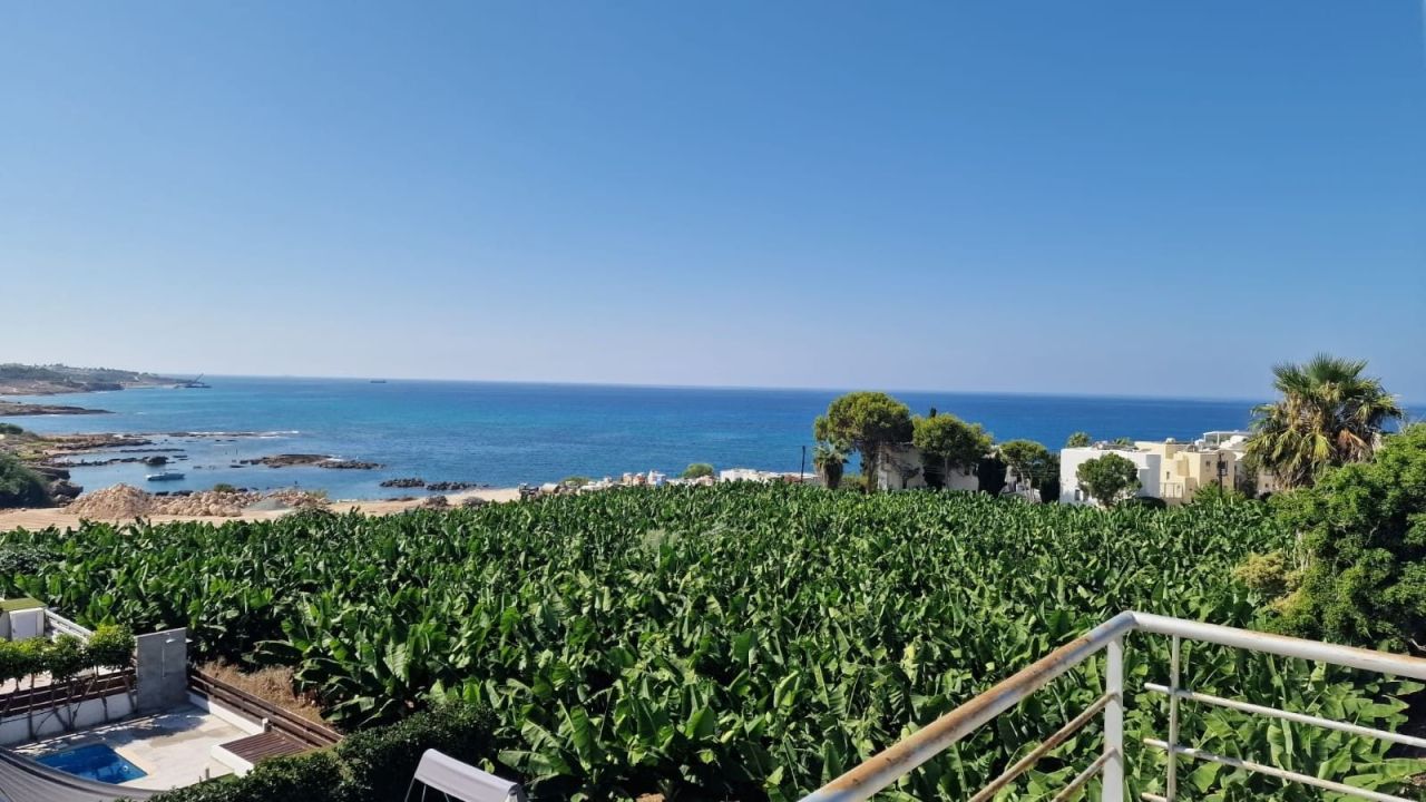 Villa in Paphos, Cyprus - picture 1