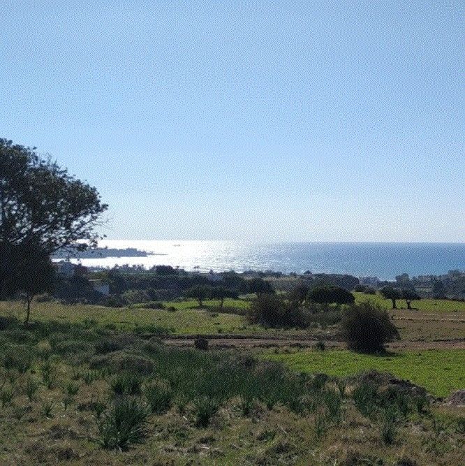 Grundstück in Paphos, Zypern, 12 496 m² - Foto 1