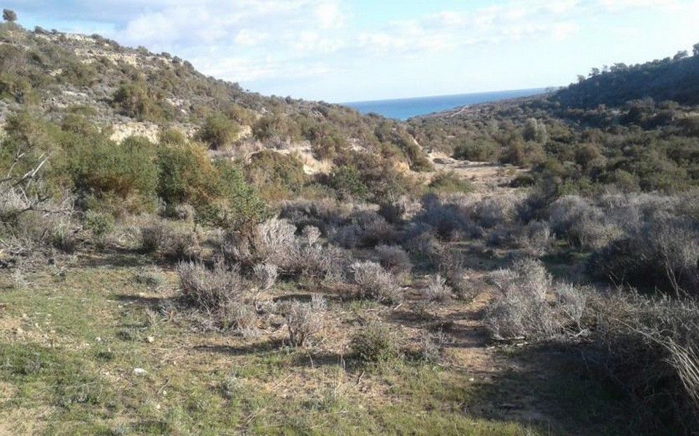 Terrain à Limassol, Chypre, 18 785 m² - image 1