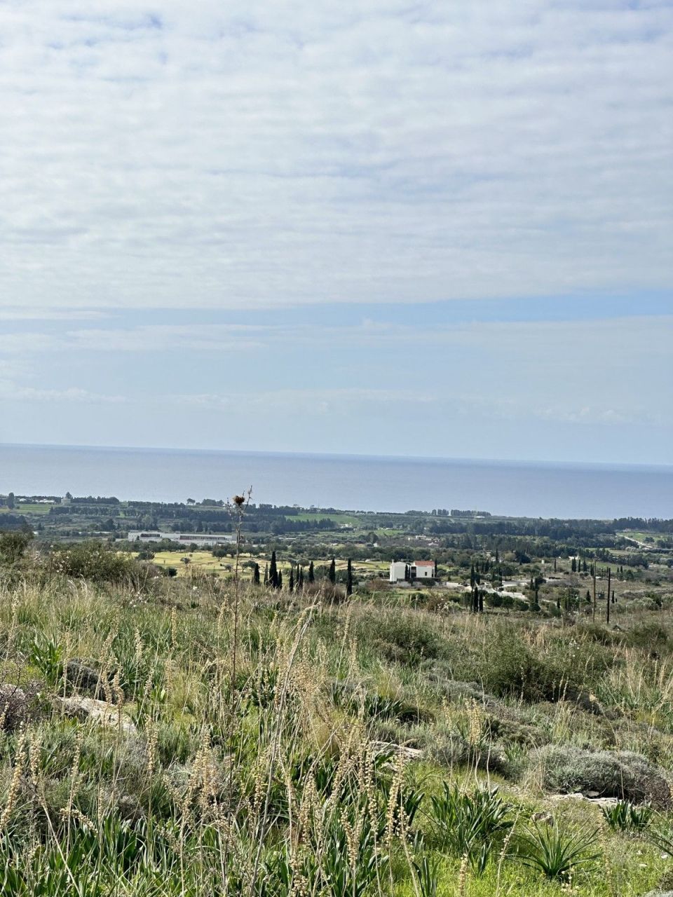 Land in Paphos, Cyprus, 26 080 m² - picture 1