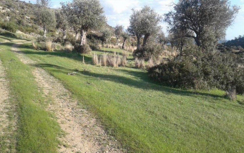 Grundstück in Limassol, Zypern, 18 785 m² - Foto 2