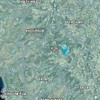 Land in Paphos, Cyprus, 14 000 m² - picture 2