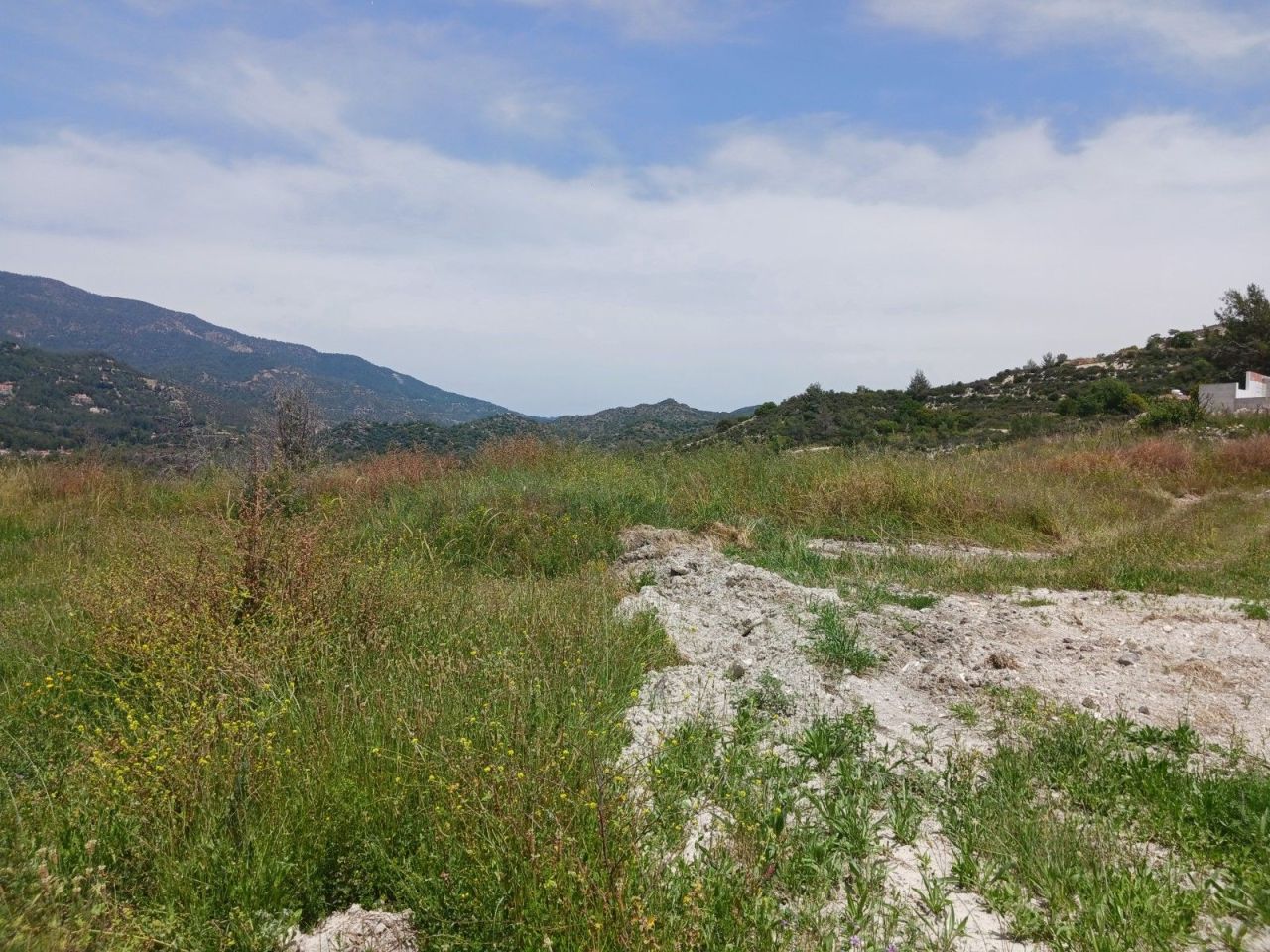 Land in Limassol, Cyprus, 5 500 m² - picture 2