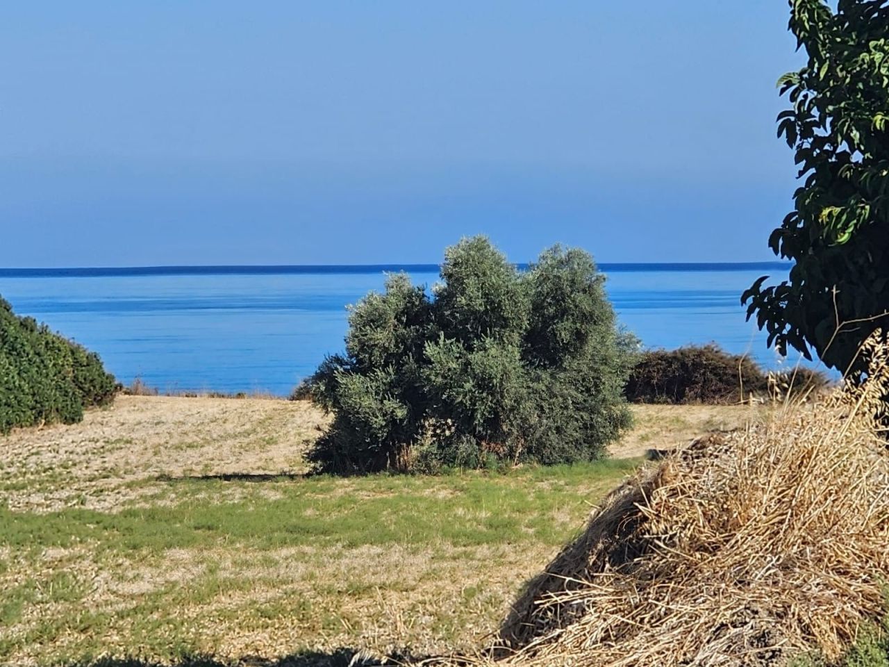 Terreno a Limassol, Cipro, 559 m2 - foto 2