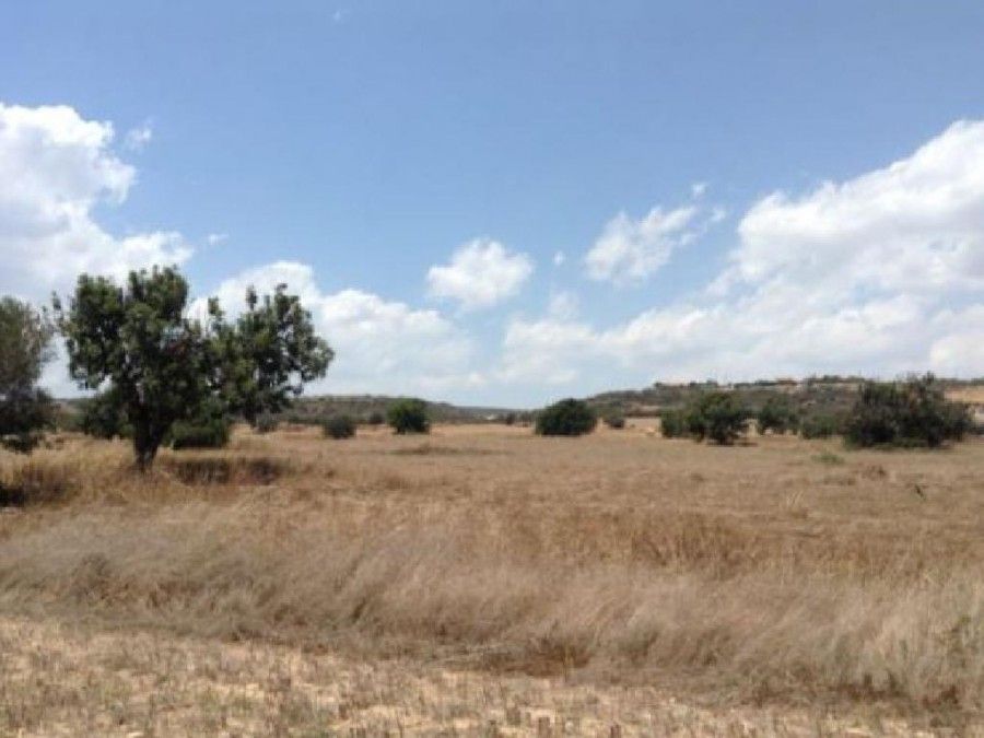 Terreno a Larnaca, Cipro, 7 024 m2 - foto 2