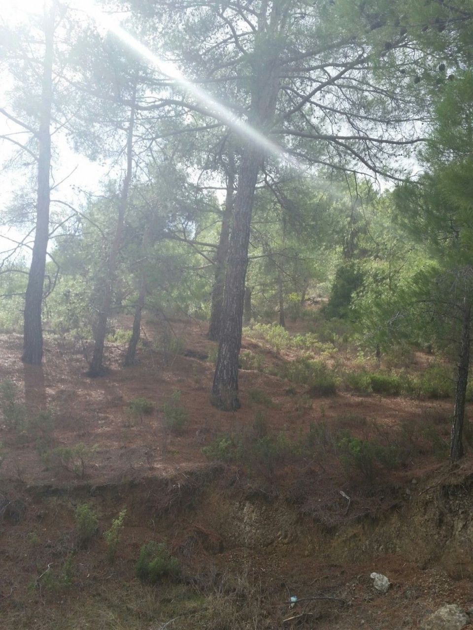 Land in Limassol, Cyprus, 7 556 m² - picture 2