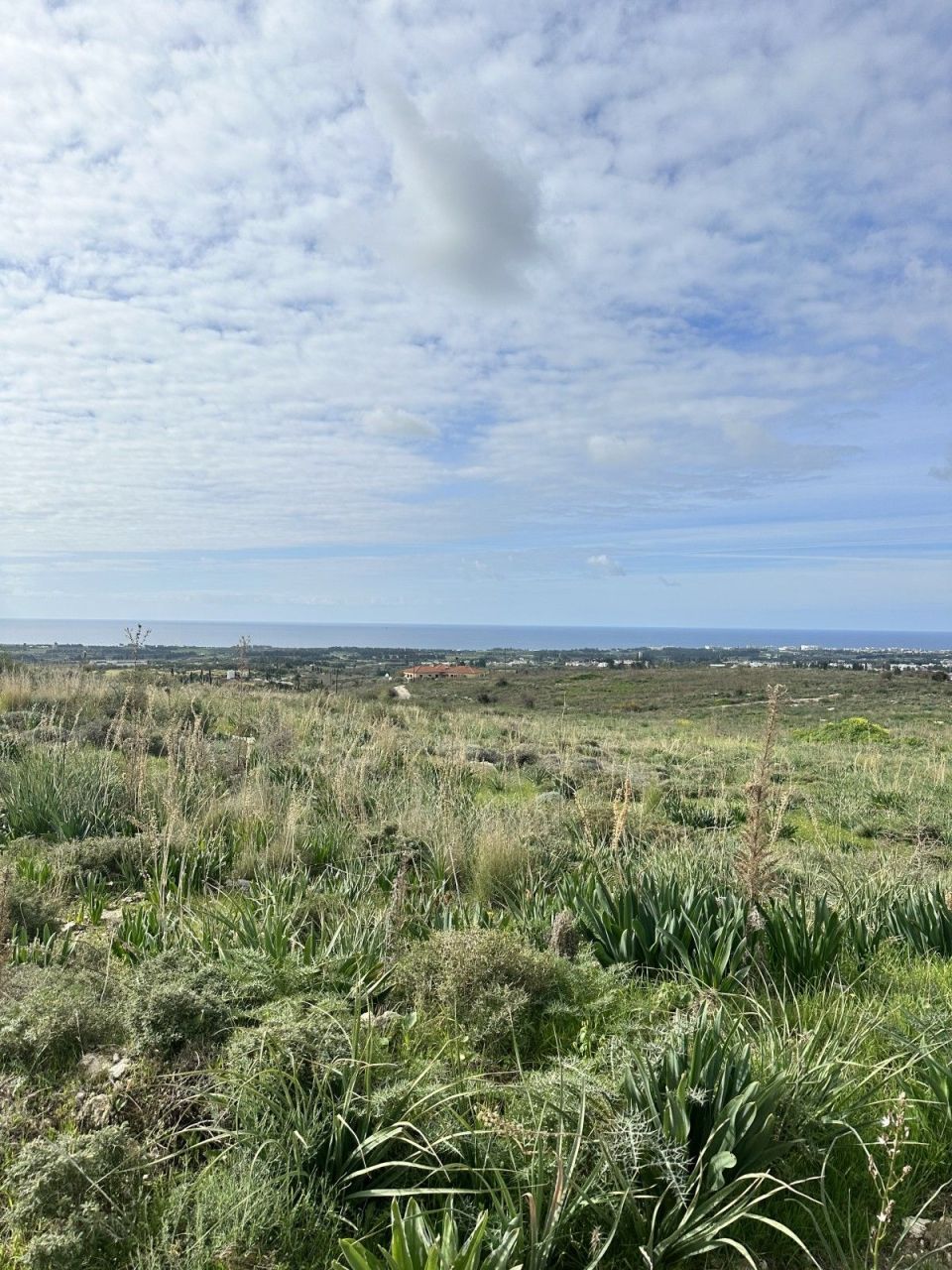 Terrain à Paphos, Chypre, 26 080 m² - image 2