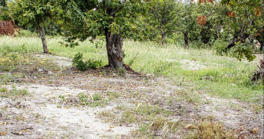 Bungalow in Paphos, Zypern, 92 m² - Foto 2