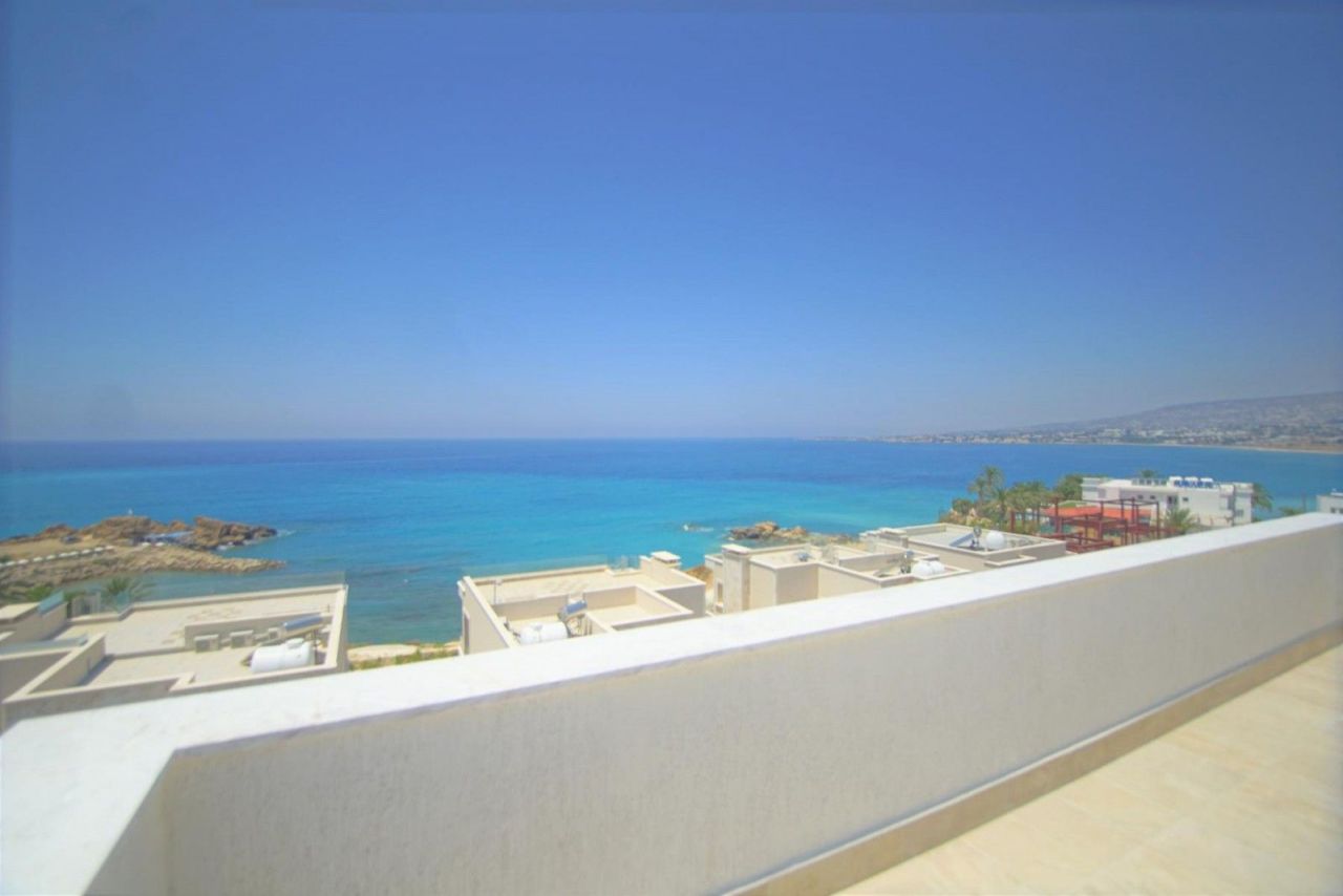 Biens commerciaux à Paphos, Chypre - image 2