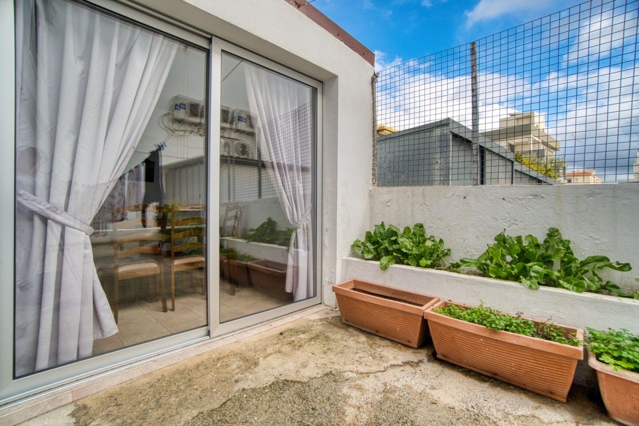 Commercial property in Paphos, Cyprus, 205 m² - picture 2