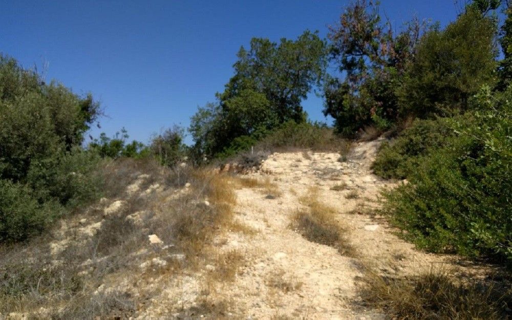 Terreno a Paphos, Cipro, 6 247 m2 - foto 2