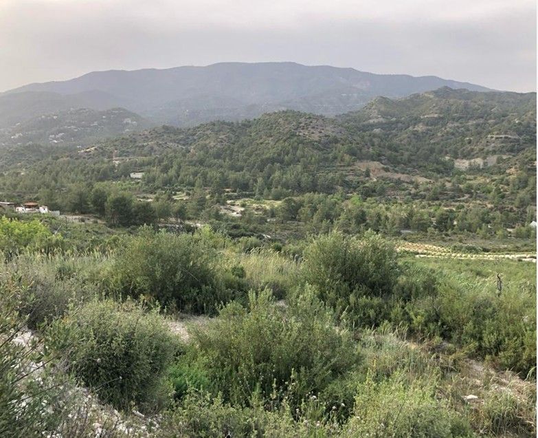 Terreno a Limassol, Cipro, 25 284 m2 - foto 2