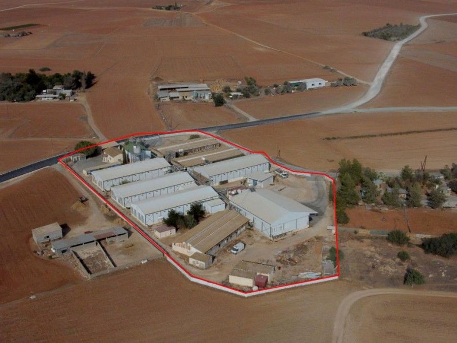 Grundstück in Larnaka, Zypern, 10 902 m² - Foto 2