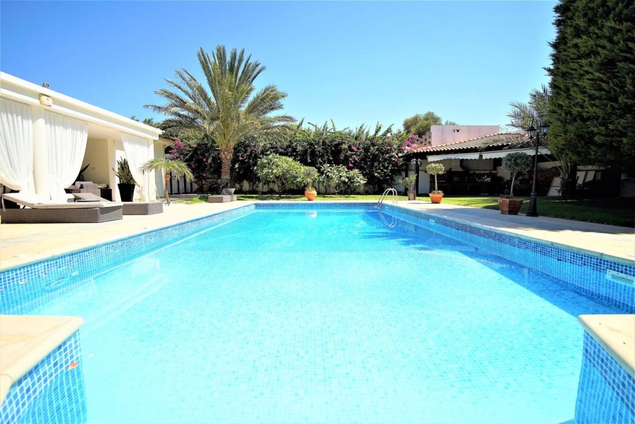 Bungalow à Paphos, Chypre, 350 m² - image 2