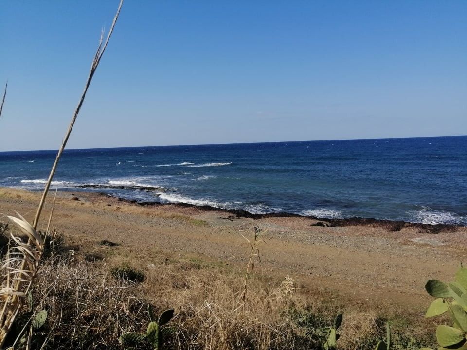 Land in Paphos, Cyprus - picture 2