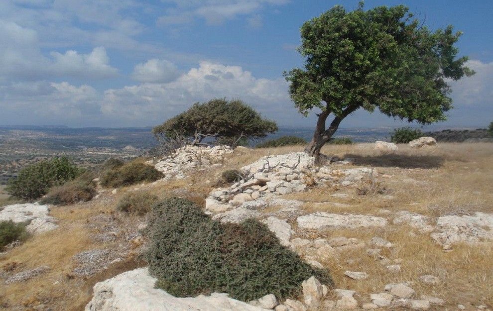 Terrain à Limassol, Chypre, 12 041 m² - image 2