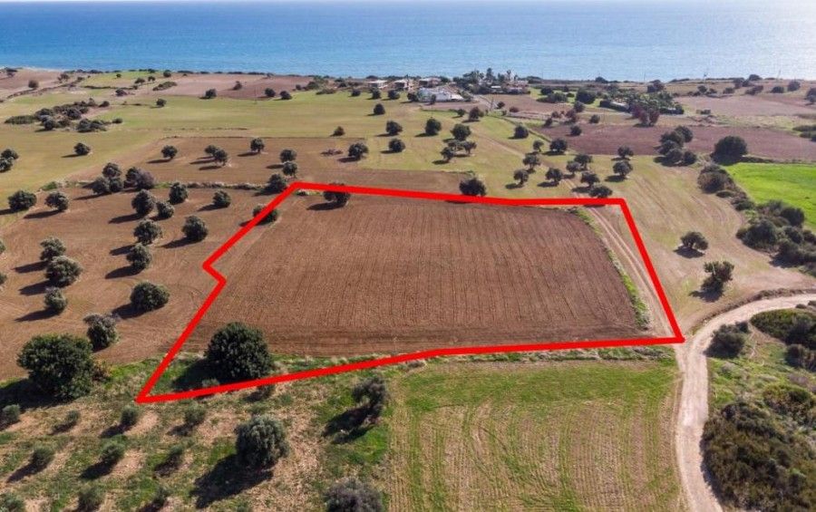 Terrain à Larnaca, Chypre, 7 024 m² - image 2