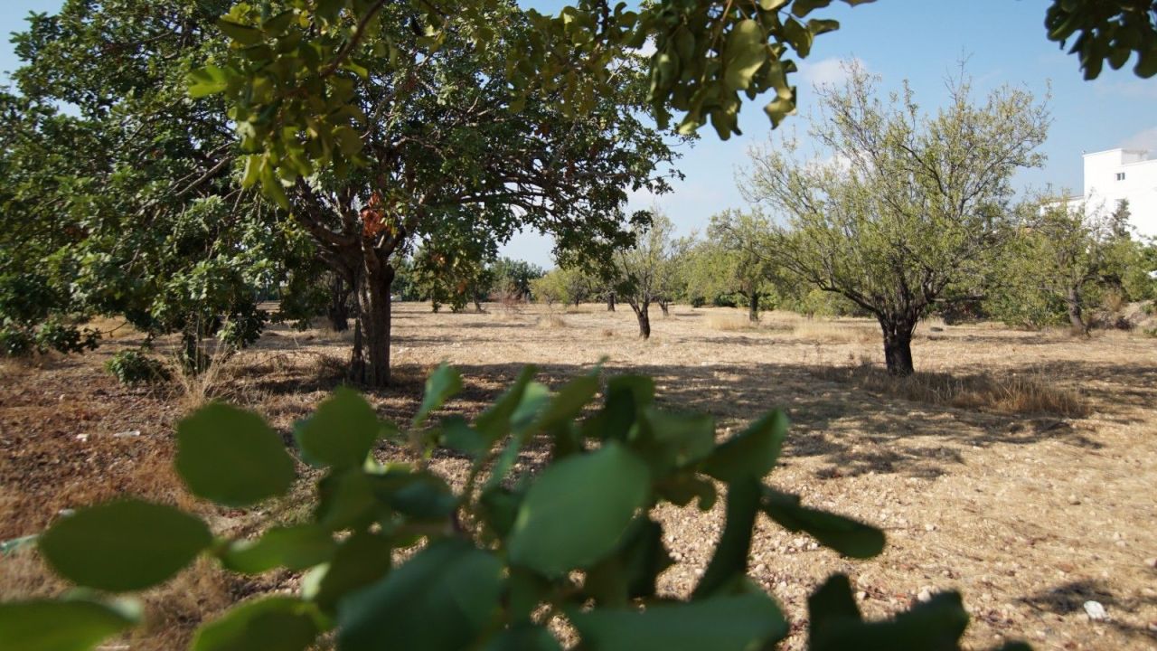 Terreno en Pafos, Chipre, 8 027 m² - imagen 2