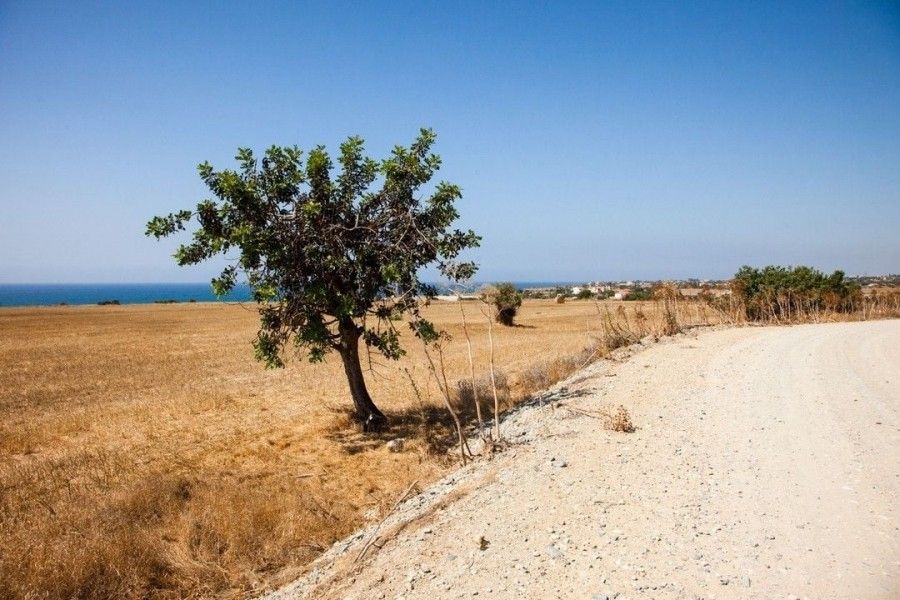 Terrain à Larnaca, Chypre, 20 076 m² - image 3