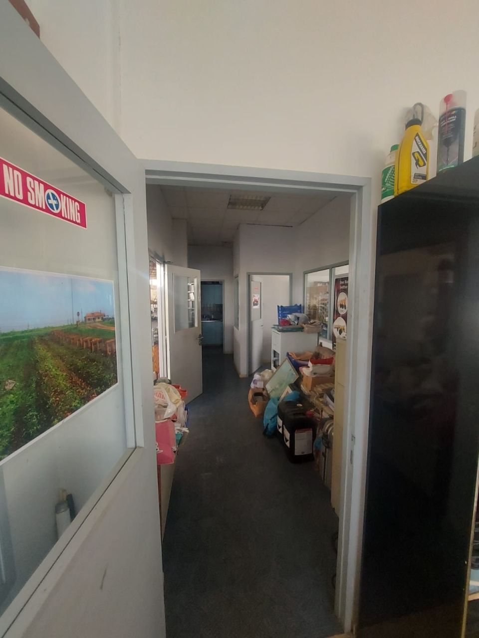 Villa en Lárnaca, Chipre, 1 500 m² - imagen 3