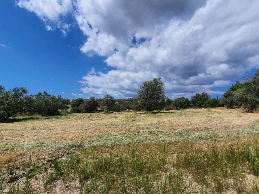 Terreno en Lárnaca, Chipre, 4 348 m² - imagen 3