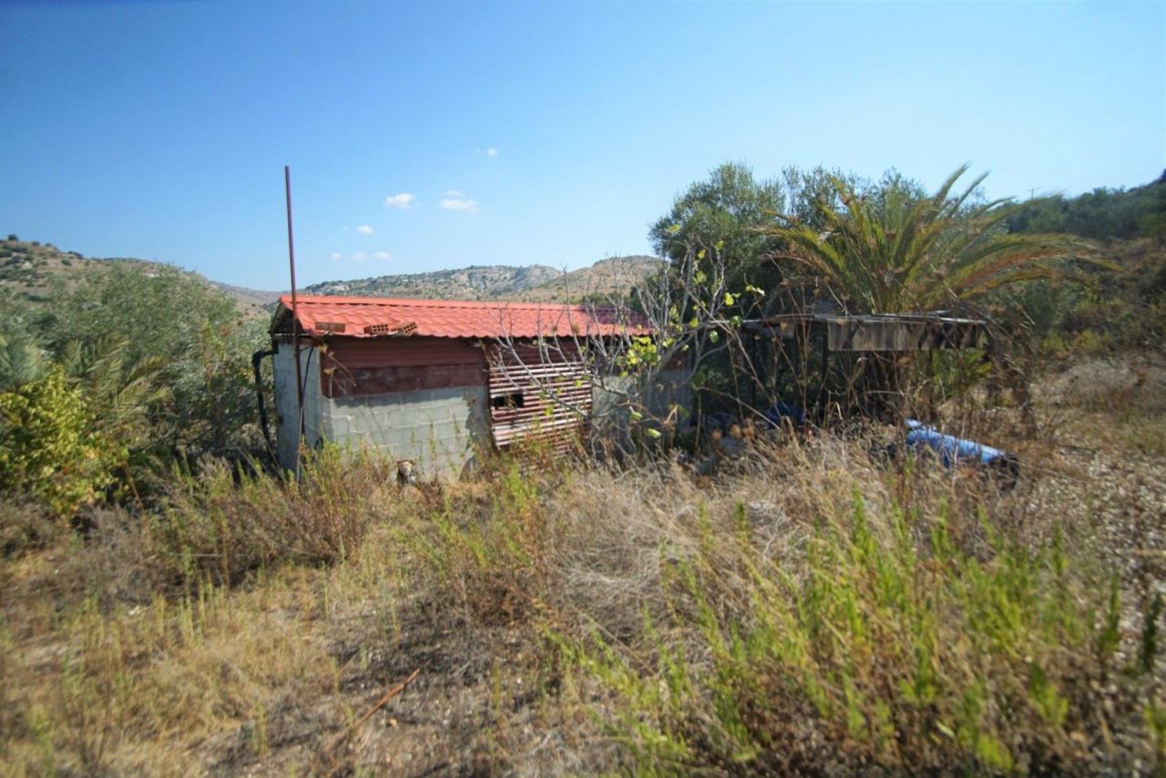 Terrain à Paphos, Chypre, 79 936 m² - image 3