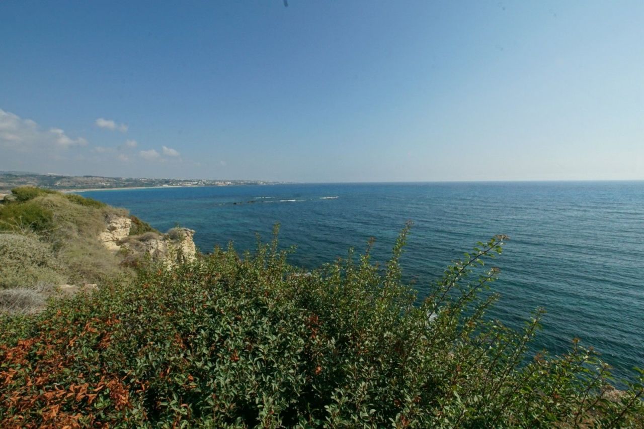 Terreno a Paphos, Cipro, 4 289 m2 - foto 3