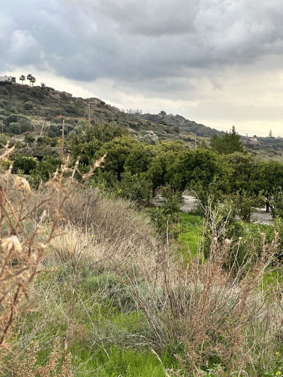 Terreno a Paphos, Cipro, 4 229 m2 - foto 3