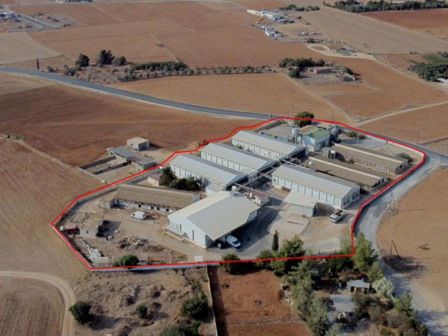 Grundstück in Larnaka, Zypern, 10 902 m² - Foto 3