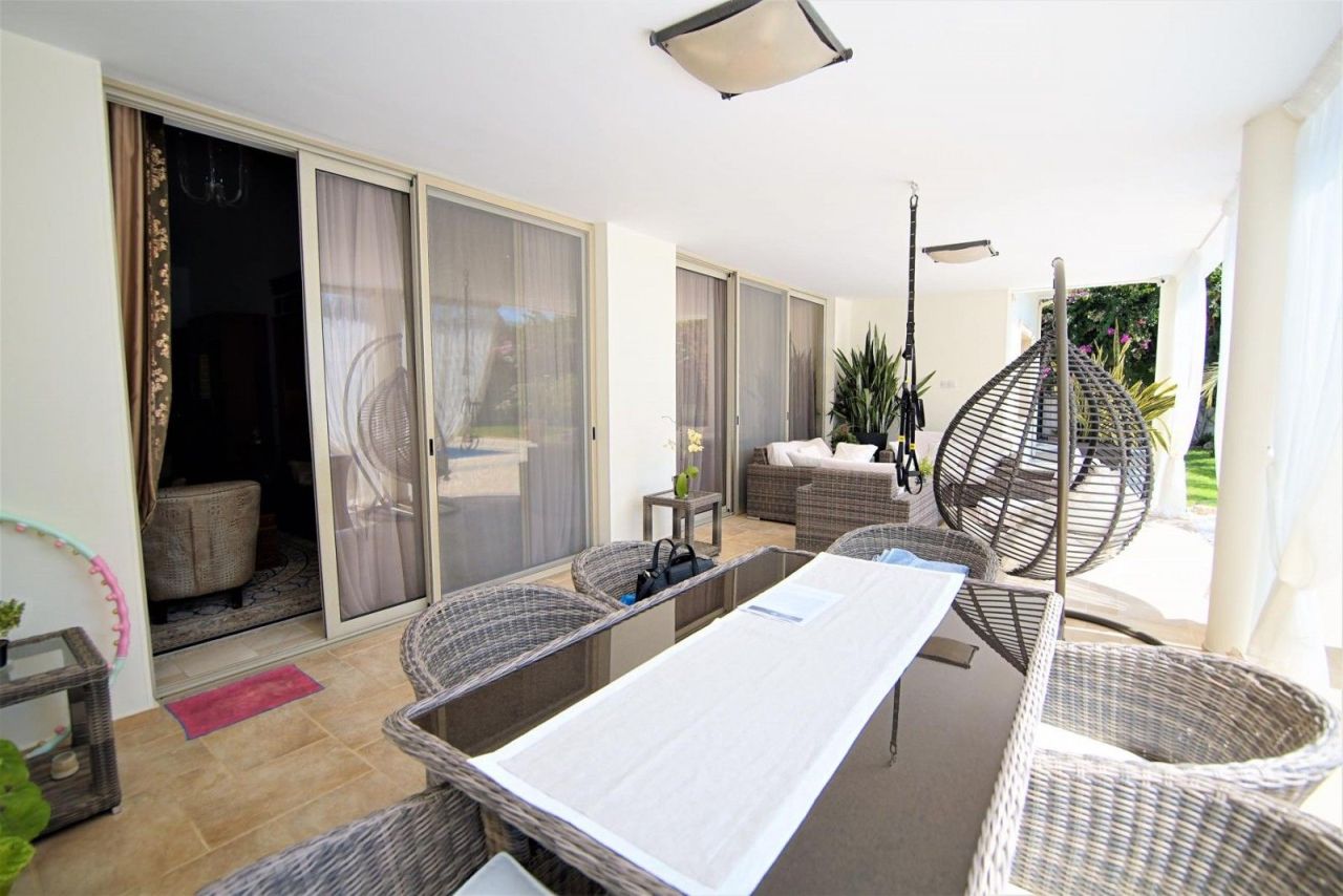 Bungalow à Paphos, Chypre, 350 m² - image 3