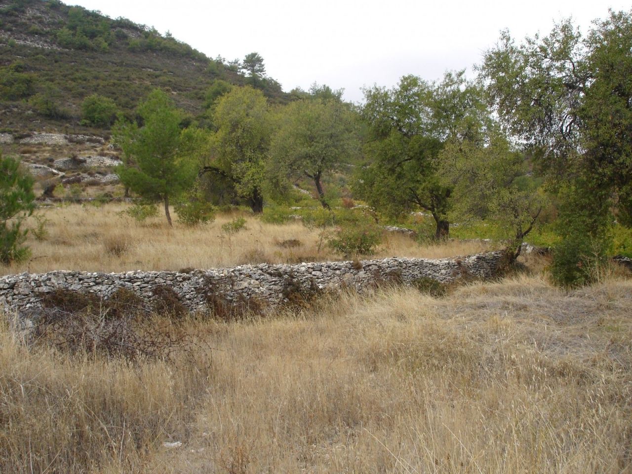 Terreno a Limassol, Cipro, 6 523 m2 - foto 3