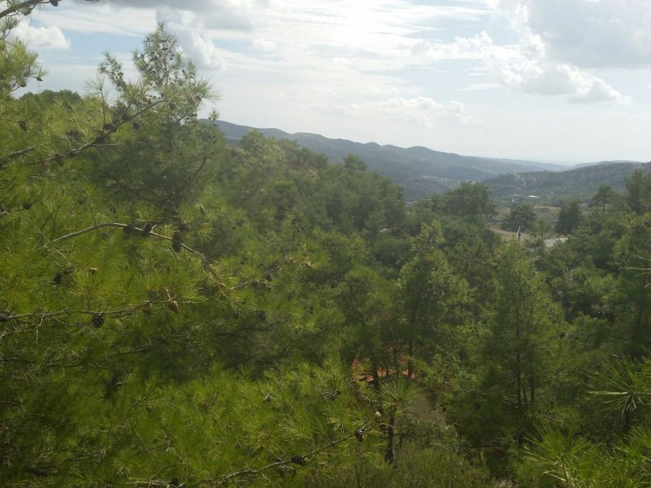 Land in Limassol, Cyprus, 7 556 m² - picture 3