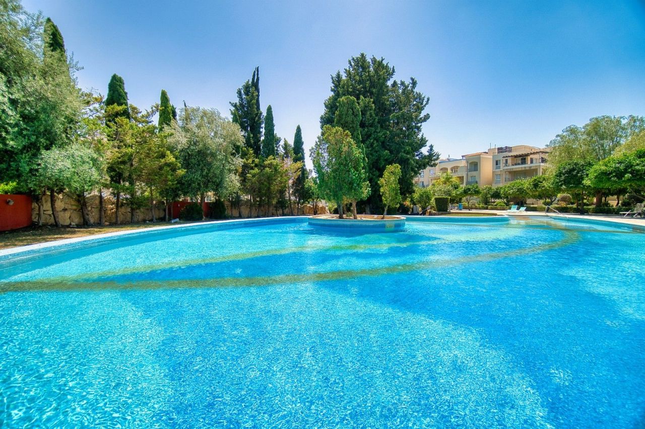 Appartamenti a Paphos, Cipro, 109 m² - foto 3