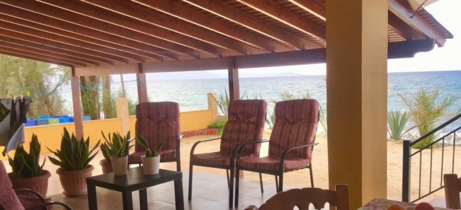 Biens commerciaux à Paphos, Chypre, 500 m² - image 3