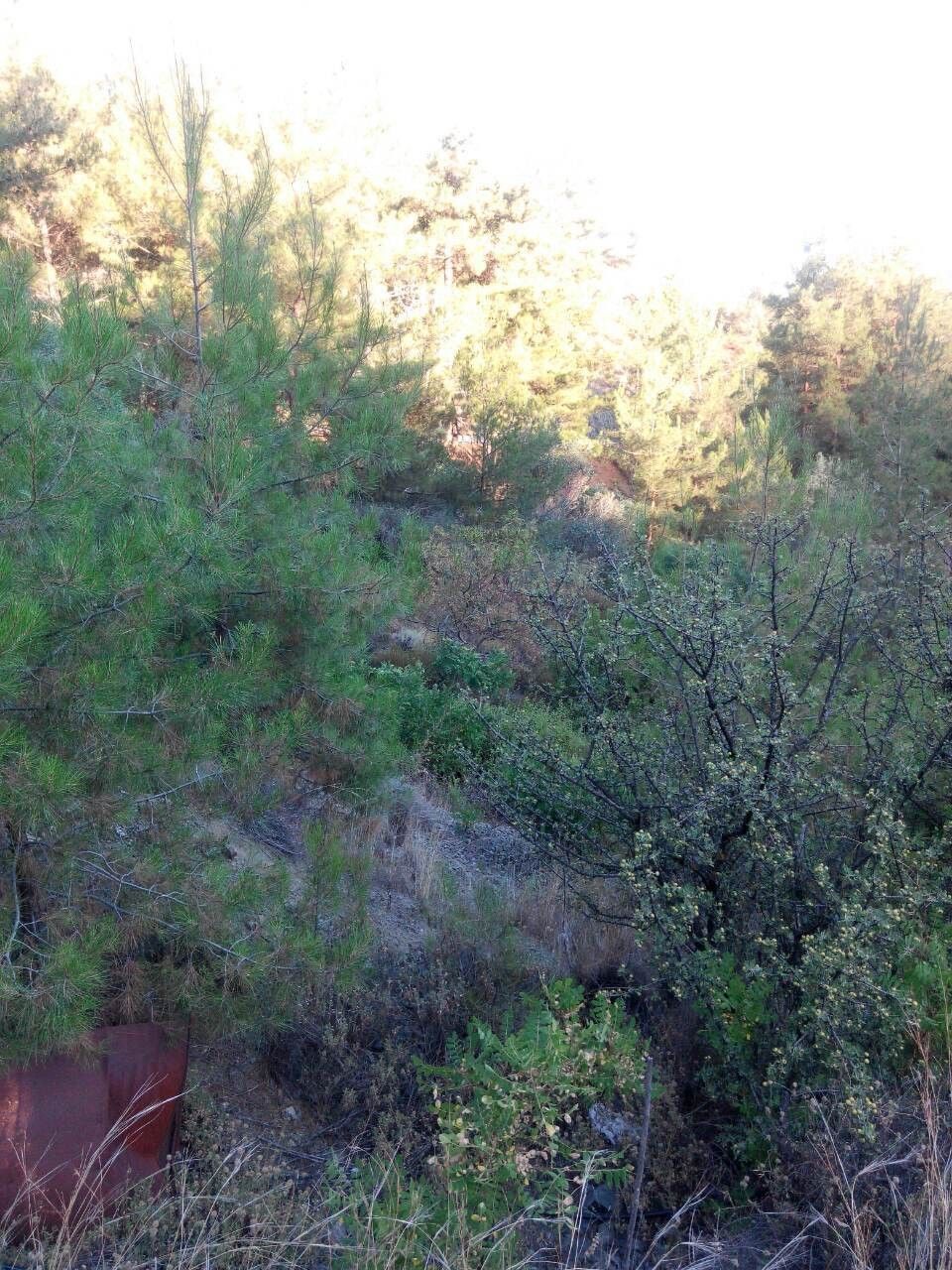 Terreno a Limassol, Cipro, 1 350 m2 - foto 3