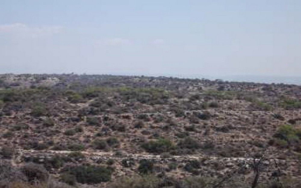 Grundstück in Limassol, Zypern, 18 785 m² - Foto 3