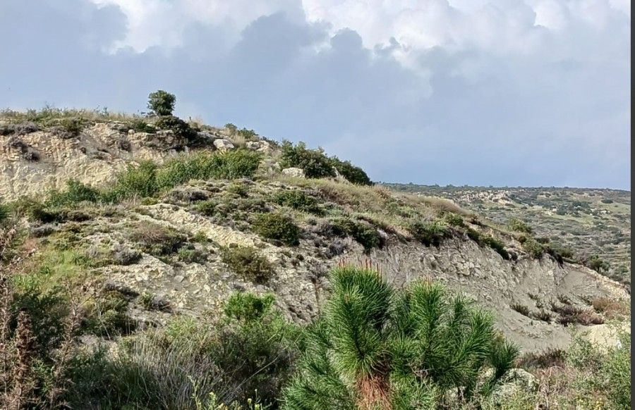 Terreno a Limassol, Cipro, 2 376 m2 - foto 3