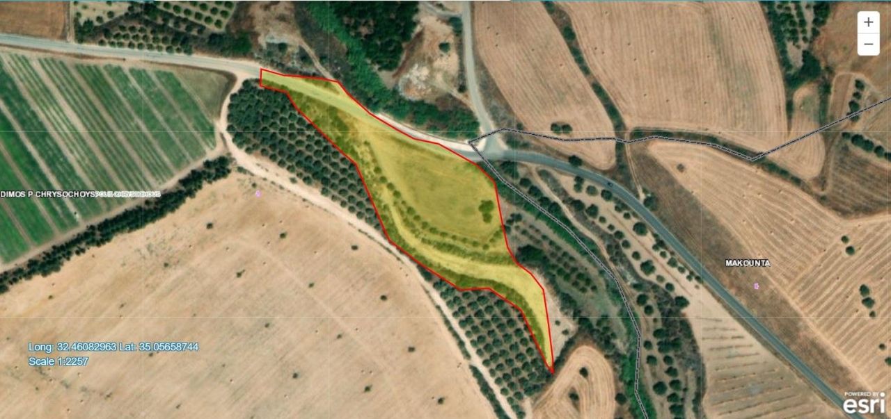 Land in Paphos, Cyprus, 10 034 m² - picture 3