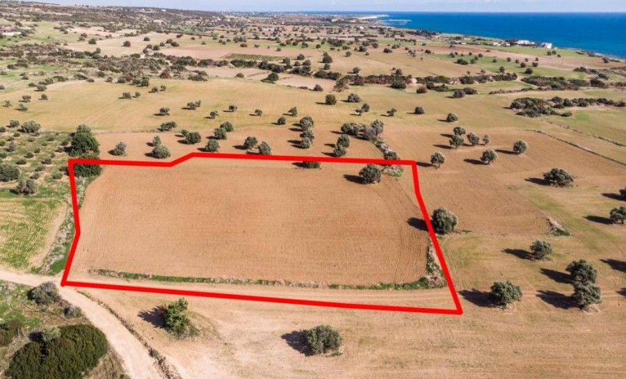 Terrain à Larnaca, Chypre, 7 024 m² - image 3
