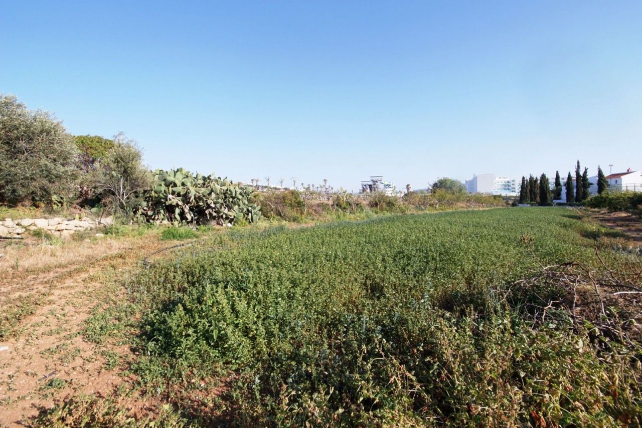 Land in Paphos, Cyprus, 10 476 m² - picture 3