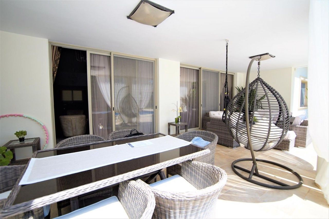 Bungalow à Paphos, Chypre, 350 m² - image 4