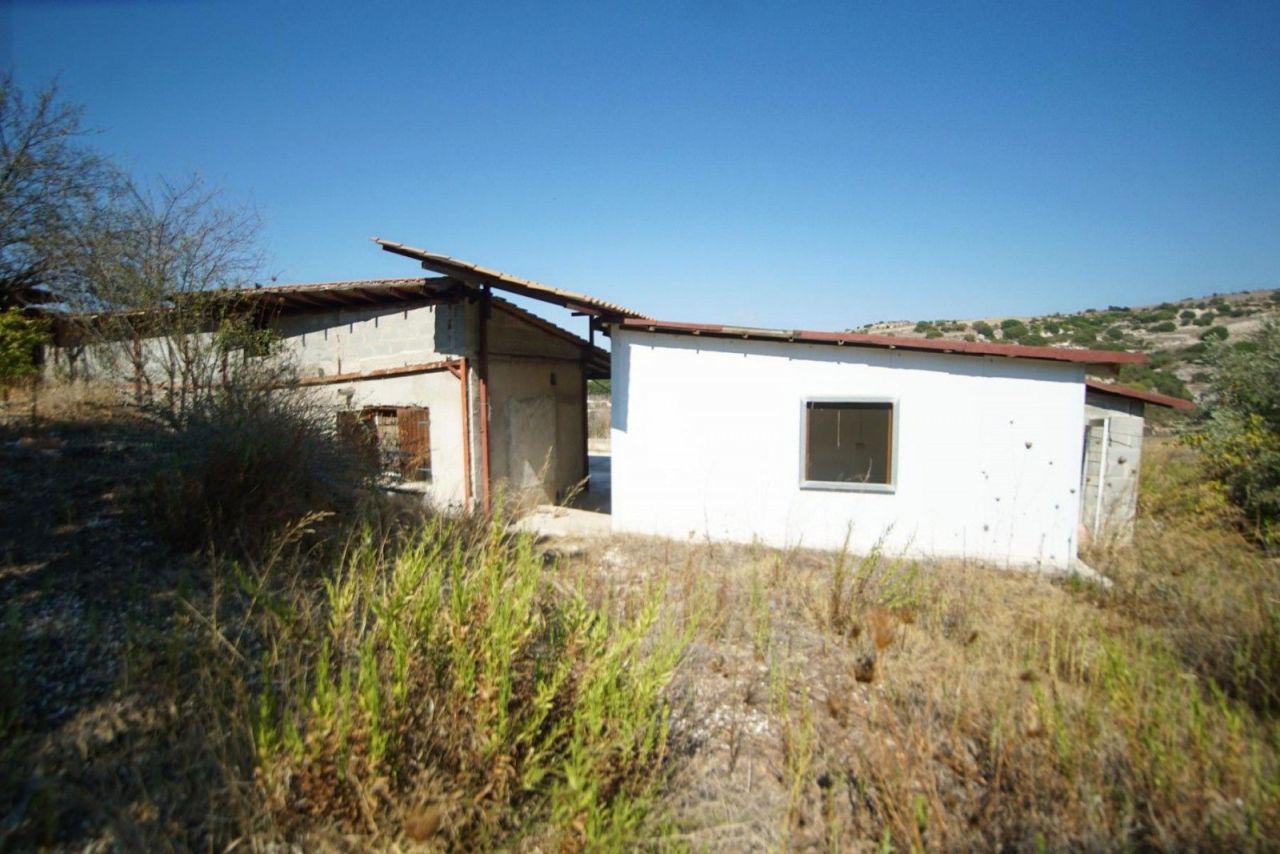 Terrain à Paphos, Chypre, 79 936 m² - image 4