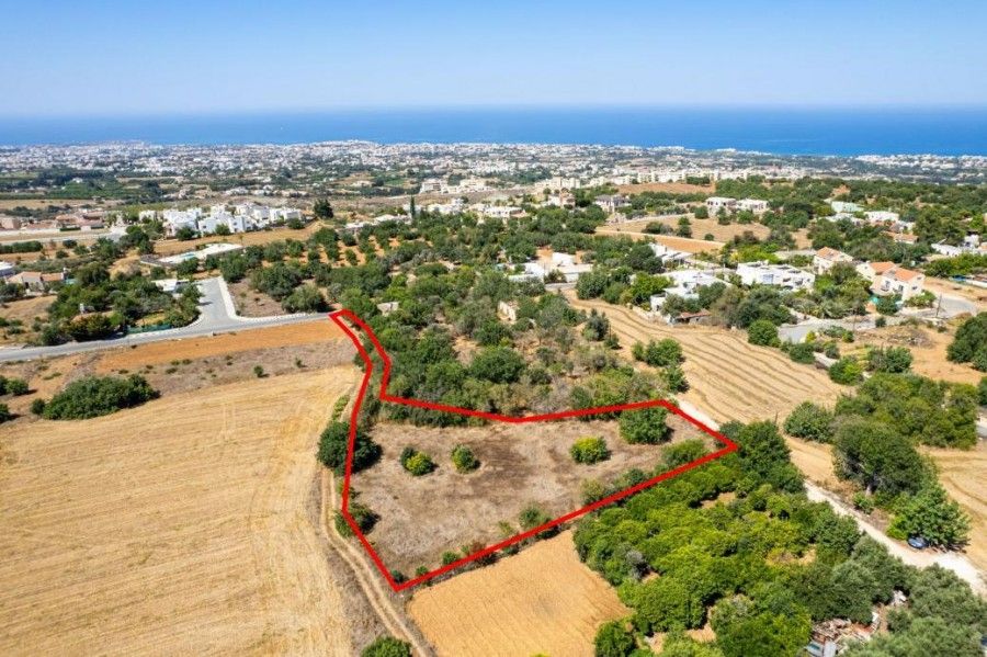 Terreno a Paphos, Cipro, 2 676 m2 - foto 4