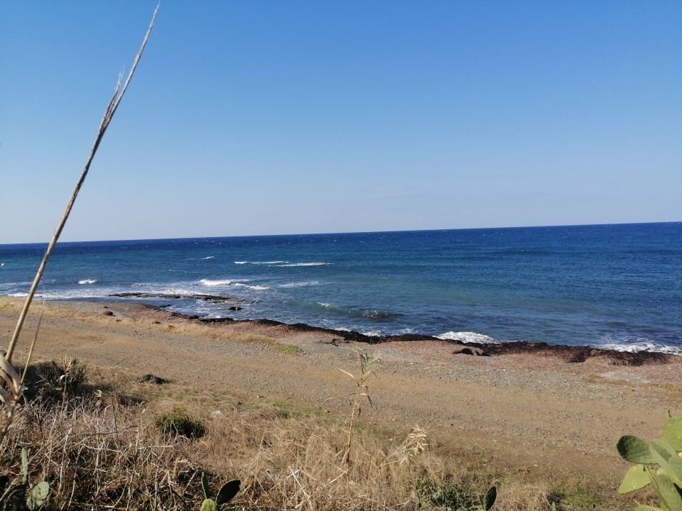 Land in Paphos, Cyprus - picture 4