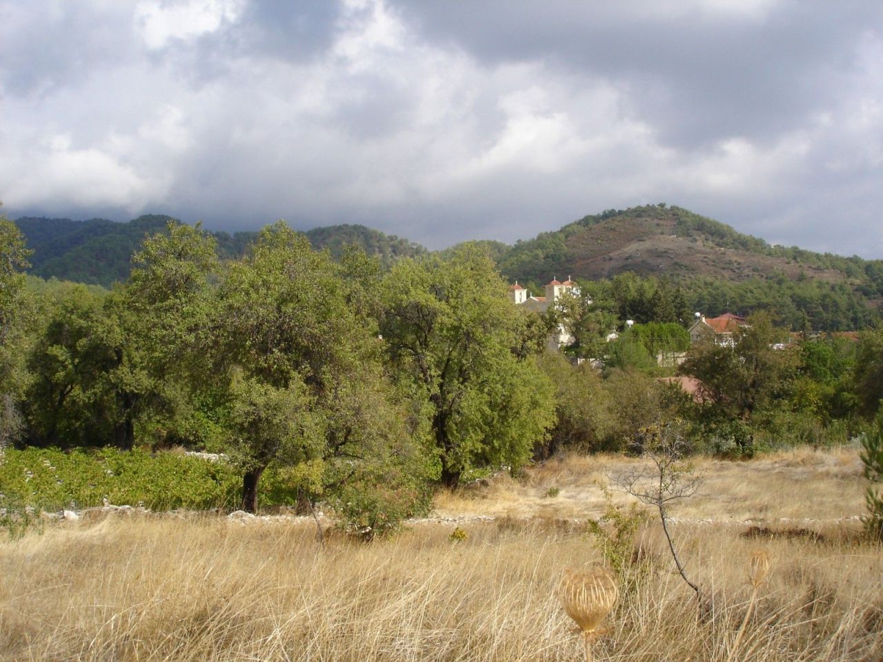 Terreno a Limassol, Cipro, 6 523 m2 - foto 4