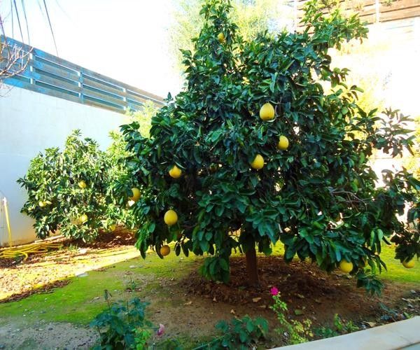 Villa in Limassol, Zypern, 375 m² - Foto 4